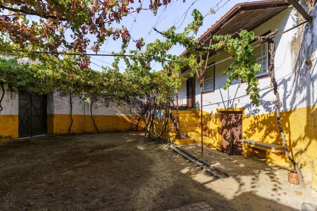 Quinta De Villa Franca - Douro Peso da Régua Zewnętrze zdjęcie